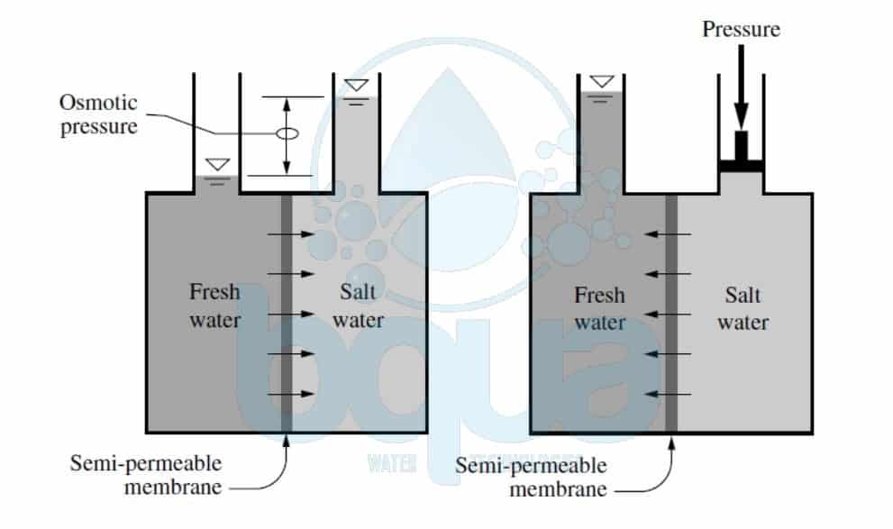 What Is Reverse Osmosis Reverse Osmosis RO Definition BQUA