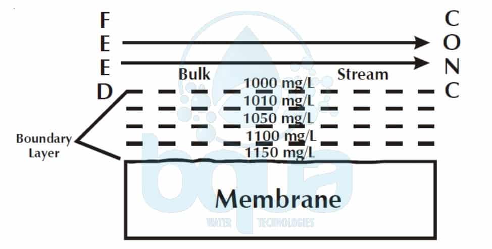 What Is Concentration Polarization Definition BQUA